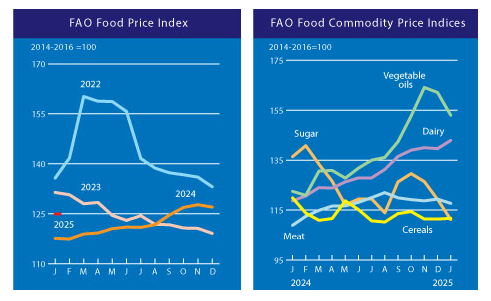 fao-food-price-index-january-2025-1.png