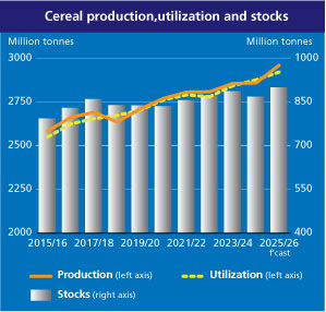 fao-cereal-supply-and-demand-brief-june-2025-1.jpg